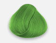 LA RICHÉ Directions Spring Green 89 ml