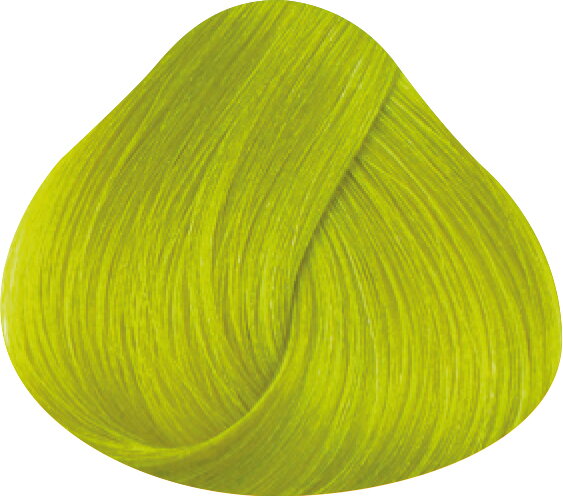 LA RICHÉ Directions Fluorescent Lime 89 ml LA RICHÉ Directions Fluorescent Lime 89 ml