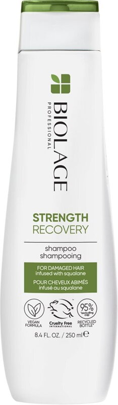 BIOLAGE Strength Recovery regeneračný šampón na poškodené vlasy - 250 ml BIOLAGE Strength Recovery regeneračný šampón na poškodené vlasy - 250 ml