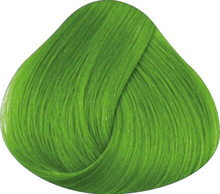 LA RICHÉ Directions Spring Green 89 ml