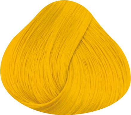 LA RICHÉ Directions Sunflower 89 ml